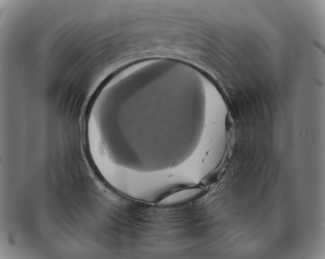 X0000095121515200801041212