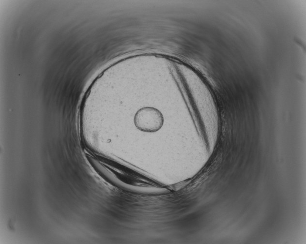 X0000095121516200801041212