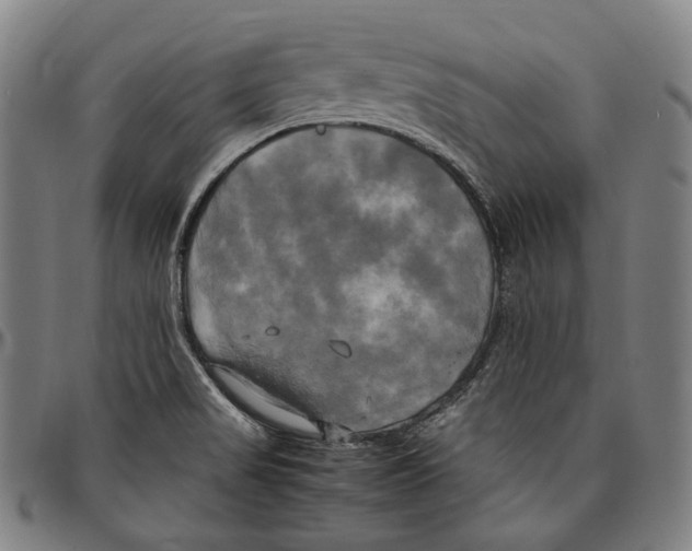 X0000095121517200801041212