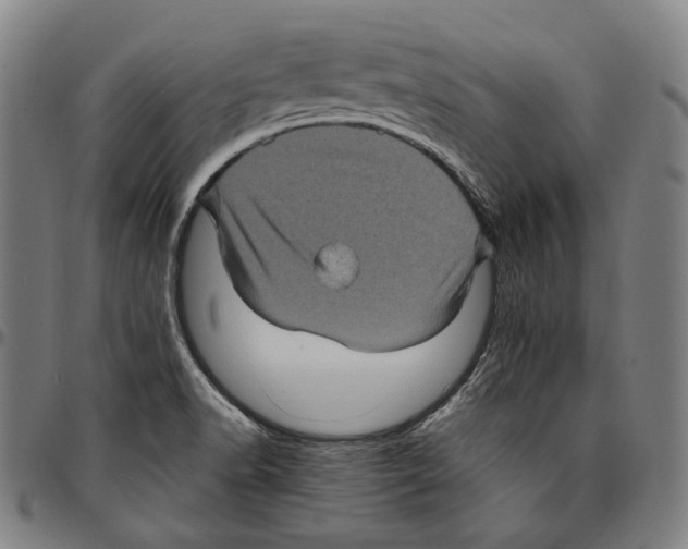 X0000095121518200801041212