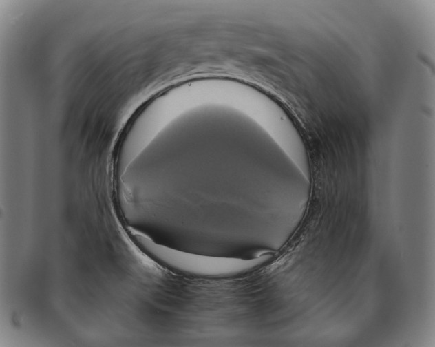 X0000095121519200801041212