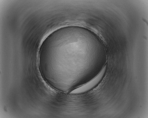 X0000095121520200801041212