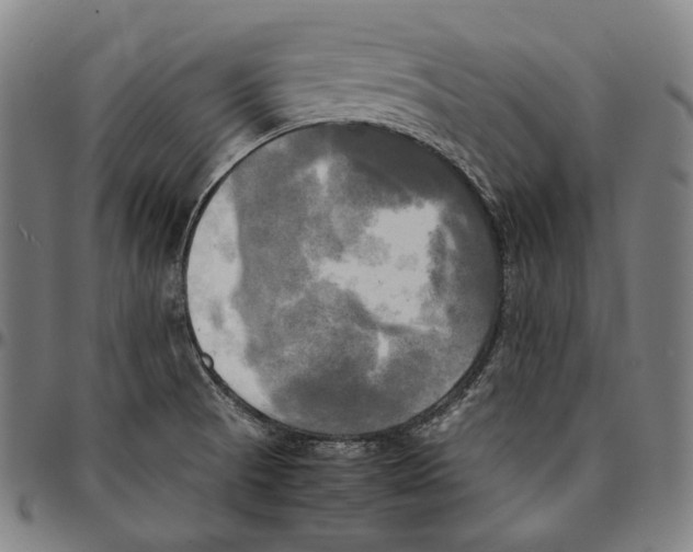 X0000095121521200801041212