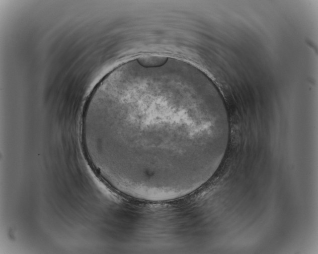 X0000095121523200801041212