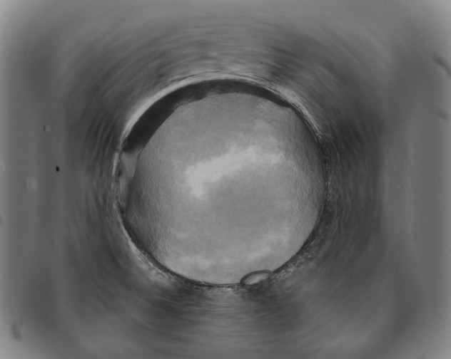 X0000095121524200801041212