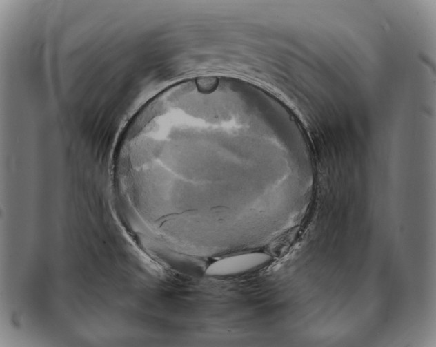 X0000095121525200801041212