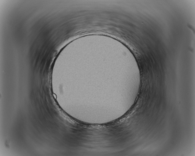 X0000095121526200801041212