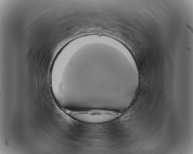 X0000095121527200801041212