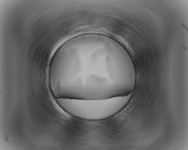 X0000095121528200801041212