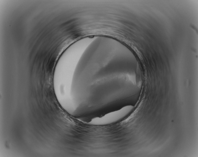 X0000095121529200801041212