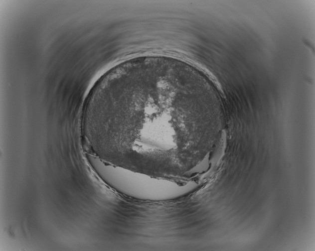 X0000095121530200801041212