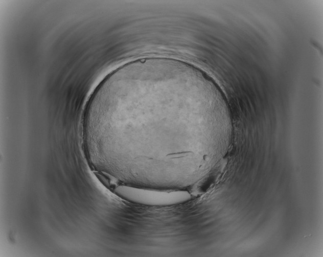 X0000095121531200801041212