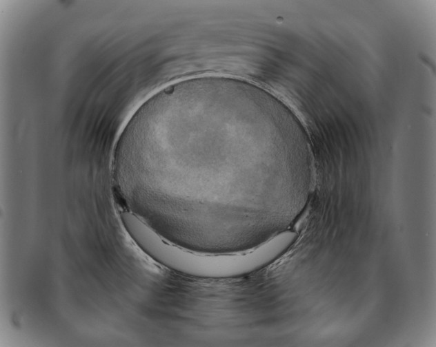 X0000095121532200801041212