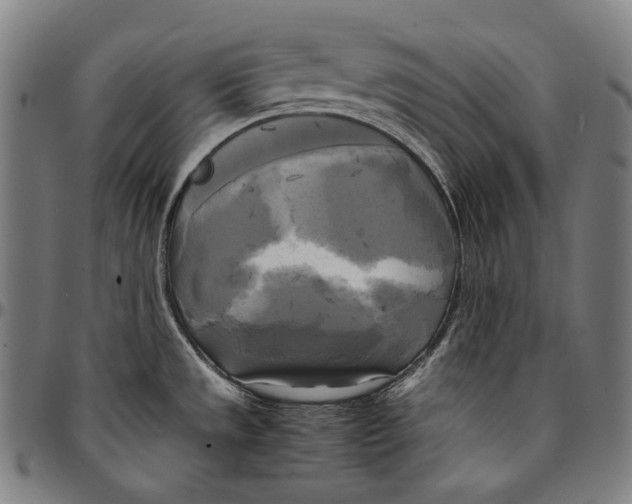 X0000095121533200801041212