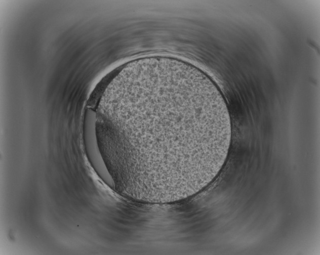 X0000095121534200801041212