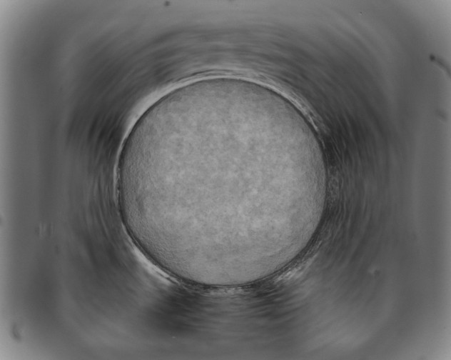 X0000095121535200801041212