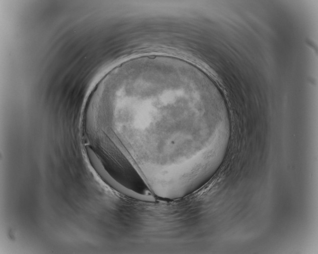 X0000095121536200801041212