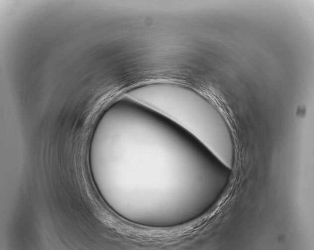 X0000095130001200712071019