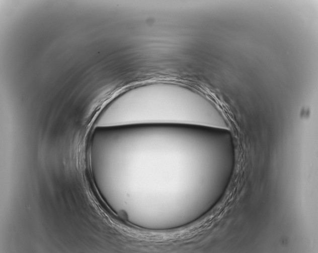 X0000095130002200712071019