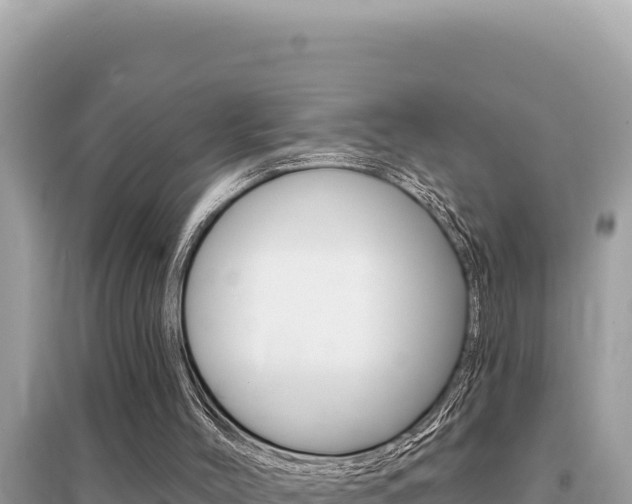 X0000095130004200712071019