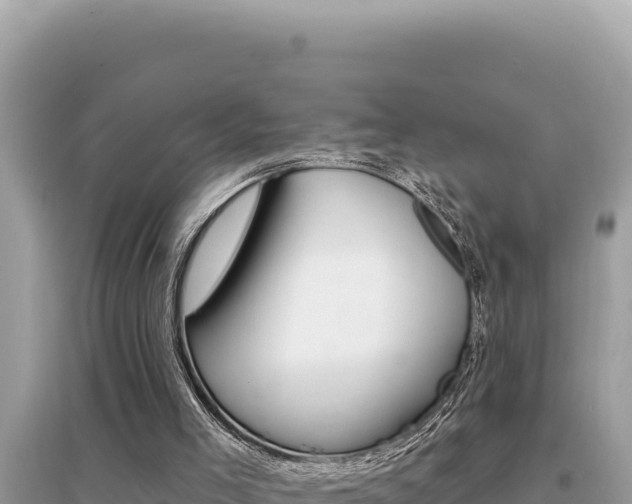 X0000095130005200712071019