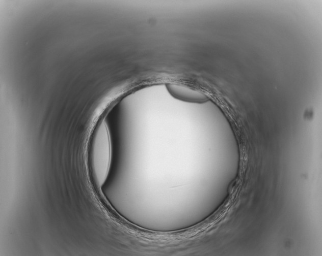 X0000095130006200712071019