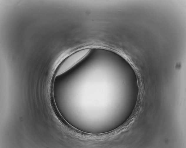 X0000095130007200712071019