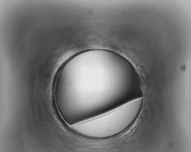 X0000095130008200712071019