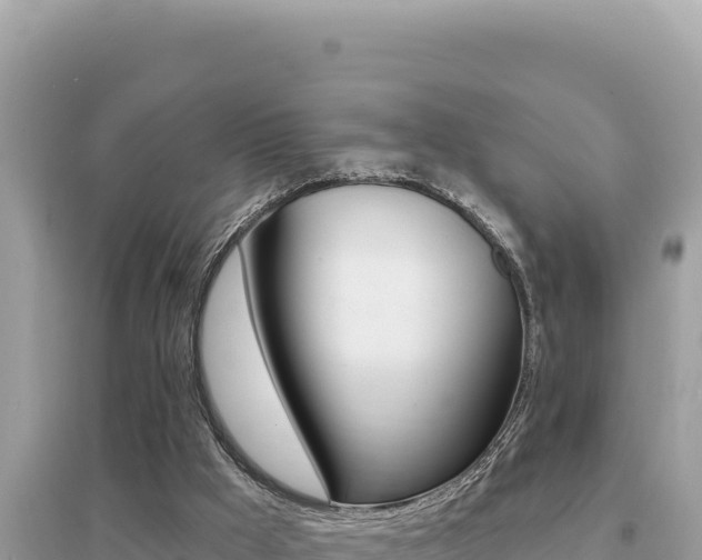 X0000095130009200712071019