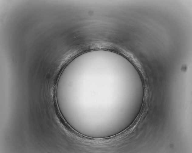 X0000095130010200712071019
