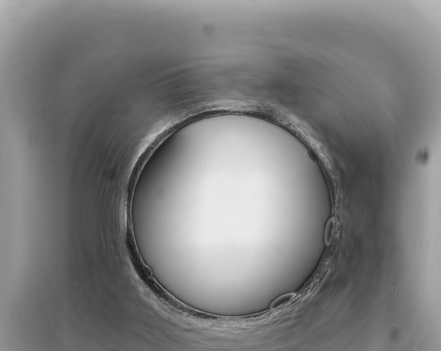 X0000095130011200712071019