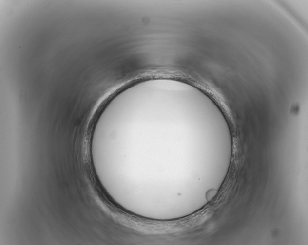 X0000095130012200712071019