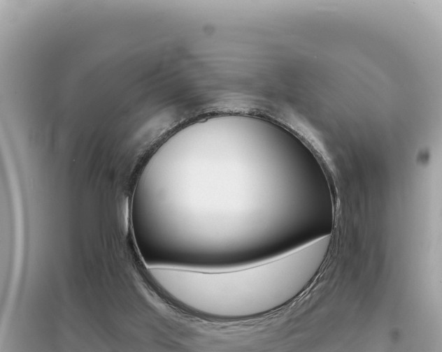 X0000095130013200712071019