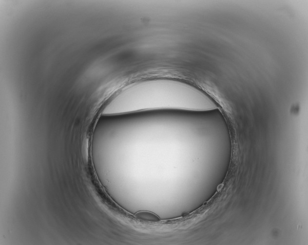 X0000095130014200712071019