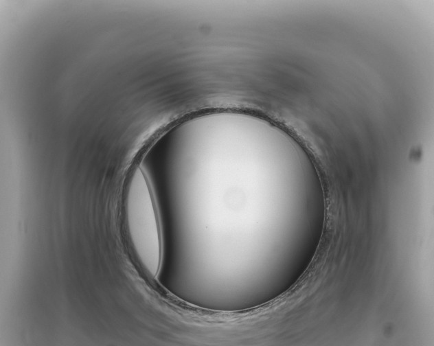 X0000095130015200712071019