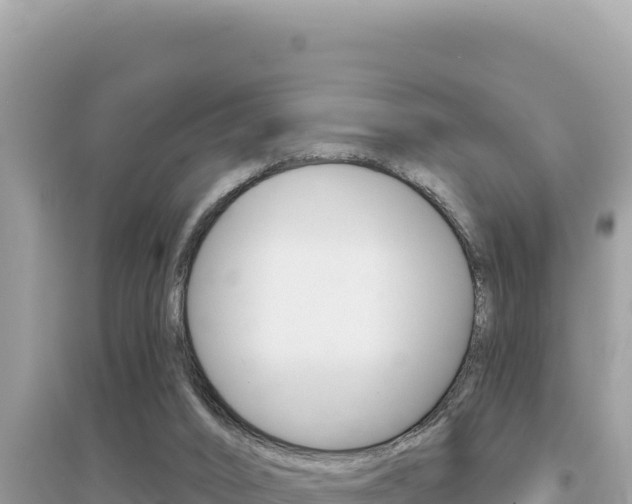 X0000095130016200712071019