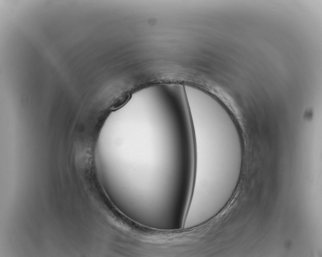 X0000095130017200712071019