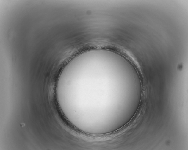 X0000095130018200712071019
