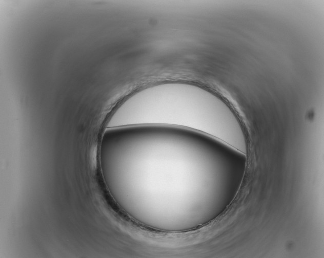X0000095130019200712071019