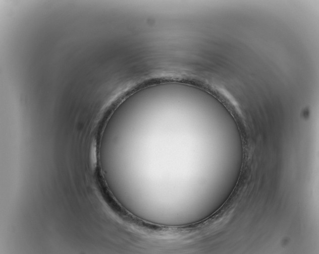 X0000095130020200712071019