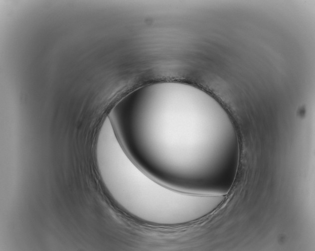 X0000095130021200712071019