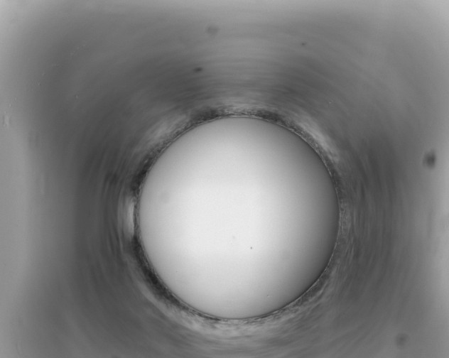X0000095130022200712071019