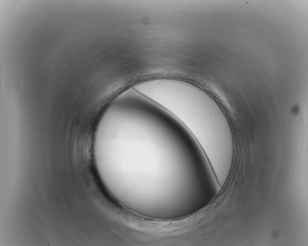X0000095130023200712071019