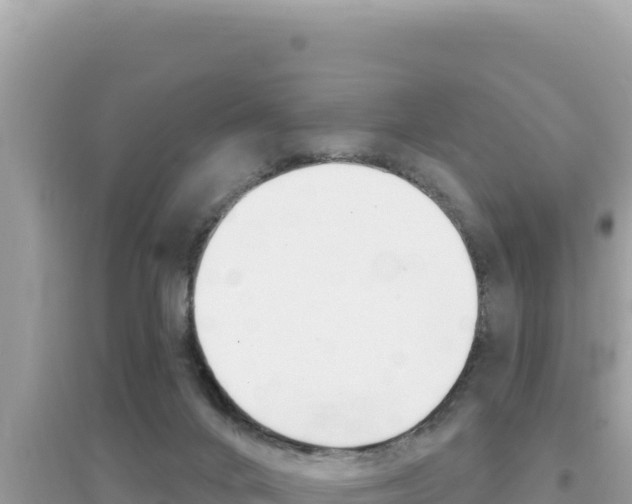 X0000095130024200712071019