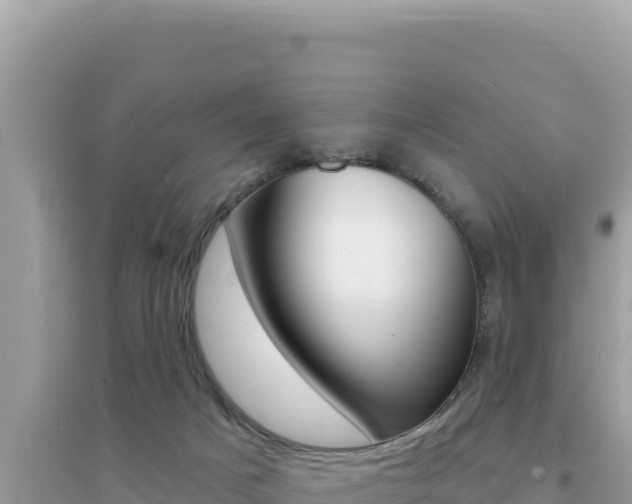 X0000095130025200712071019