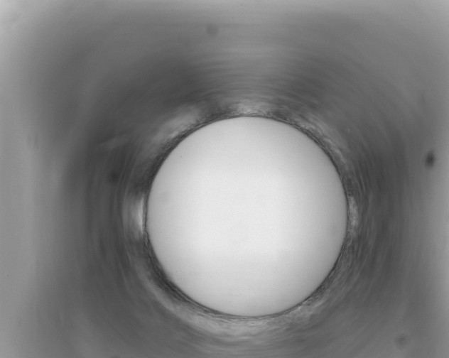 X0000095130028200712071019