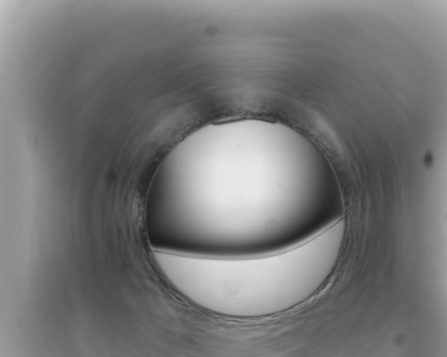 X0000095130029200712071019