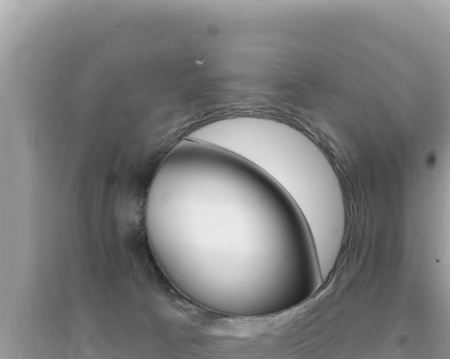 X0000095130033200712071019