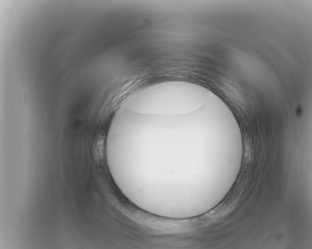 X0000095130036200712071019