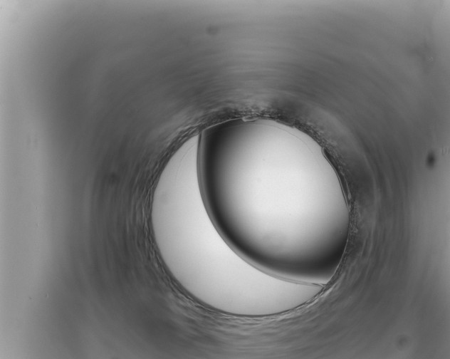 X0000095130037200712071019